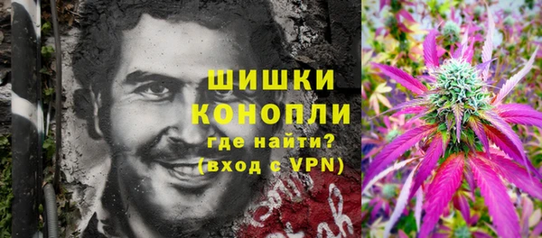 индика Абаза