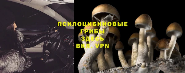 стафф Абинск