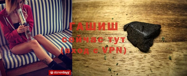 индика Абаза