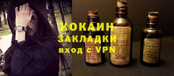 индика Абаза
