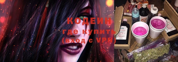 индика Абаза