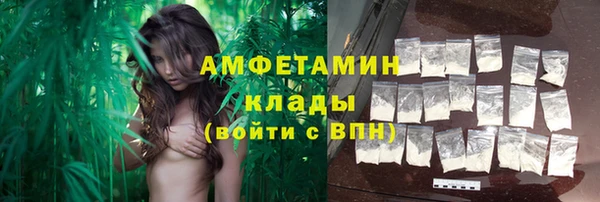 индика Абаза