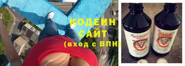 индика Абаза