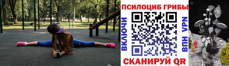 Галлюциногенные грибы мицелий  ОМГ ОМГ как войти  Заволжье  мориарти наркотические препараты  купить закладку 